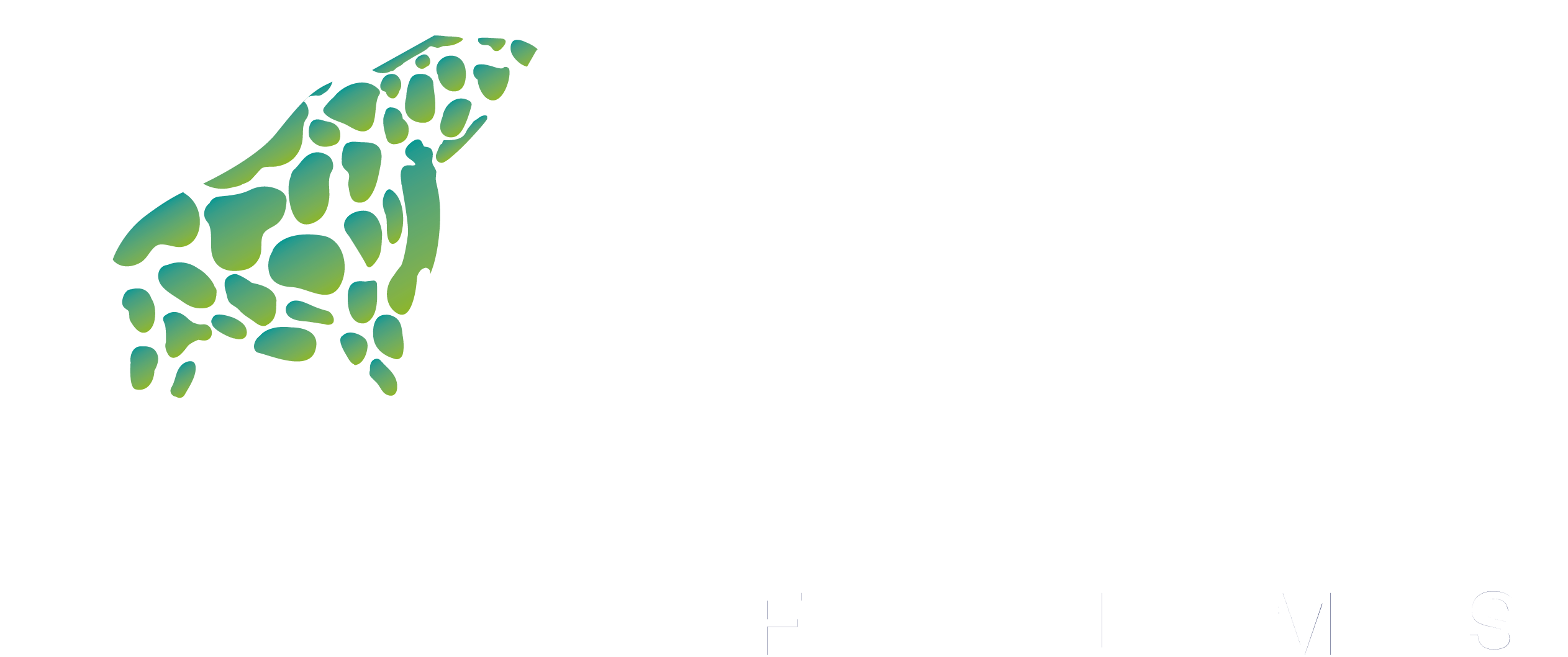 Long Films